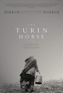 دانلود فیلم The Turin Horse 201110493-1422007354