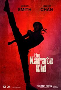 دانلود فیلم The Karate Kid 201019215-22055324