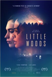 دانلود فیلم Little Woods 201822292-1519550078