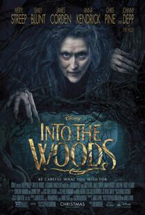 دانلود فیلم Into the Woods 20143675-1555816876