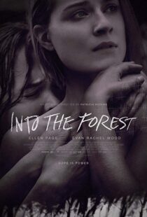 دانلود فیلم Into the Forest 20159776-524487412