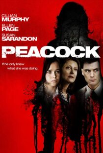 دانلود فیلم Peacock 201021393-256218394
