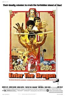 دانلود فیلم Enter the Dragon 19736833-964662262