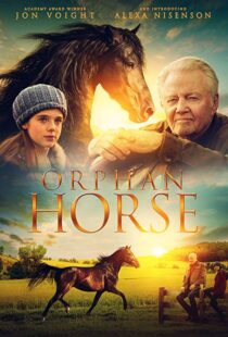 دانلود فیلم Orphan Horse 20188125-860492177