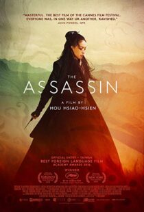 دانلود فیلم The Assassin 201513760-1156212881