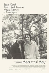 دانلود فیلم Beautiful Boy 201819853-598811587