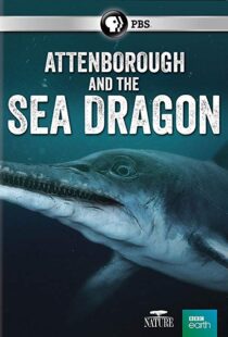 دانلود مستند Attenborough and the Sea Dragon 20188753-2007594066