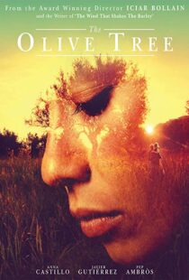 دانلود فیلم The Olive Tree 201615934-923412789
