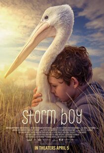 دانلود فیلم Storm Boy 20199003-1019200259