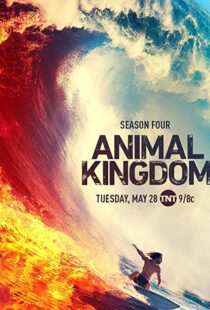 دانلود سریال Animal Kingdom18326-223591063