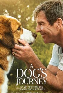 دانلود فیلم هندی A Dog’s Journey 201915660-109943126