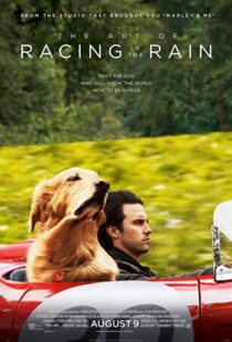دانلود فیلم The Art of Racing in the Rain 201916633-1874373082