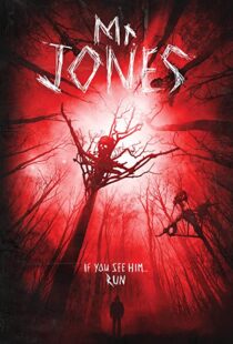 دانلود فیلم Mr. Jones 201337611-1221147758