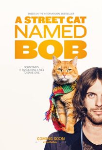 دانلود فیلم A Street Cat Named Bob 201641621-602654449