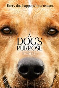 دانلود فیلم هندی A Dog’s Purpose 201741616-449515583