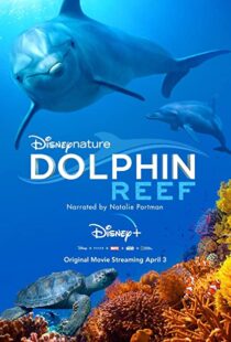دانلود مستند Dolphin Reef 201838724-352669332