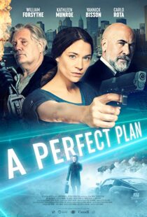 دانلود فیلم A Perfect Plan 202043957-659713848