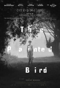 دانلود فیلم The Painted Bird 201943285-10072242