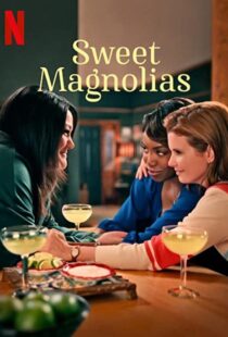 دانلود سریال Sweet Magnolias47511-1398527586