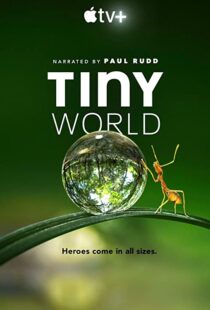 دانلود مستند Tiny World52124-937764689