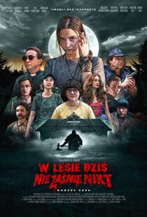 دانلود فیلم Nobody Sleeps in the Woods Tonight 202053095-714207721
