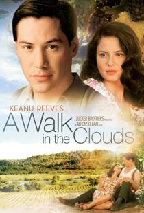 دانلود فیلم A Walk in the Clouds 199553815-2051331368