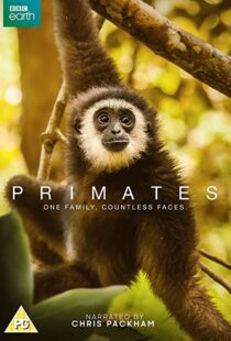 دانلود مستند Primates77865-1762919286