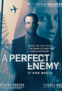 دانلود فیلم A Perfect Enemy 202082295-113225948