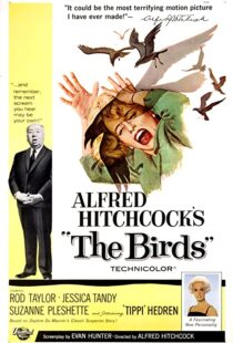 دانلود فیلم The Birds 196382372-842437175