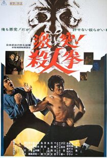 دانلود فیلم The Street Fighter 197483791-2025015365