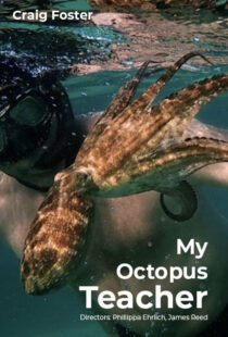 دانلود مستند My Octopus Teacher 202082343-1366040413