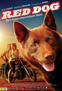 دانلود فیلم Red Dog 201187414-1842590655