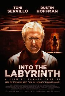 دانلود فیلم Into the Labyrinth 201991141-1755875169