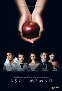 دانلود سریال Forbidden Love94309-791620770
