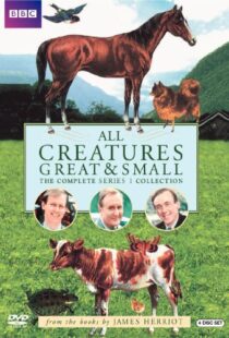 دانلود سریال All Creatures Great and Small94610-533566580