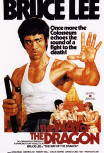 دانلود فیلم The Way of the Dragon 197297592-1867455930