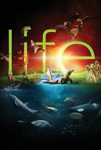 دانلود مستند Life96080-1844374048