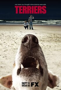 دانلود سریال Terriers100032-279844908