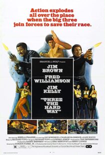 دانلود فیلم Three the Hard Way 197497602-1766591178
