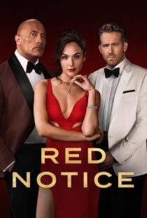 دانلود فیلم Red Notice 202195295-1747046644