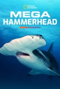 دانلود مستند Mega Hammerhead 2016103122-1824755865