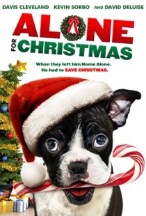 دانلود فیلم Alone for Christmas 2013107883-69723300