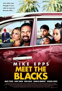 دانلود فیلم Meet the Blacks 2016109548-1014750404