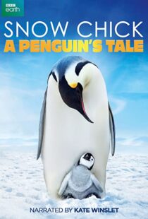 دانلود مستند Snow Chick: A Penguin’s Tale 2015109604-1373482618