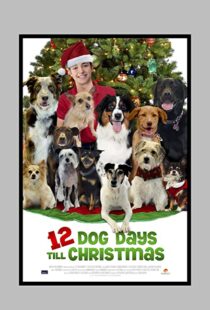 دانلود فیلم 12 Dog Days Till Christmas 2014100712-33116257