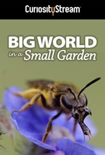 دانلود مستند Big World in a Small Garden 2016102965-1611811456