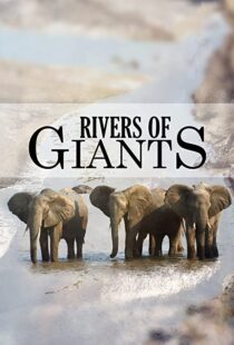 دانلود مستند Rivers of Giants 2005102245-1198155493