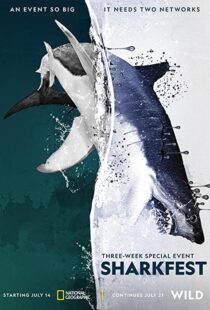 دانلود مستند Man vs. Shark 2019104475-1572857786