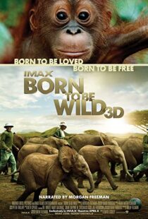 دانلود مستند Born to Be Wild 2011110503-589643070
