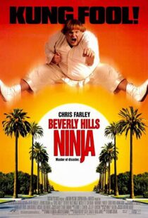 دانلود فیلم Beverly Hills Ninja 1997111541-233303909